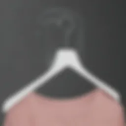 Innovative adhesive coat hanger design showcasing its unique features