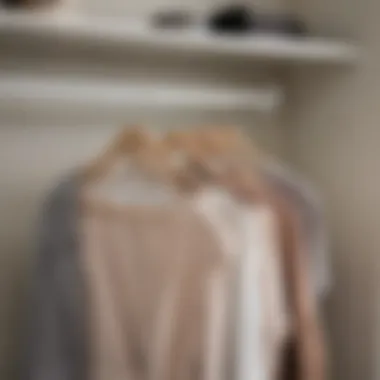 Visual representation of adhesive coat hangers in a modern wardrobe setting