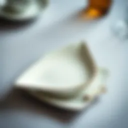 Elegant asymmetrical plate showcasing unique design