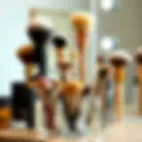 Various dry makeup brush cleaners displayed elegantly