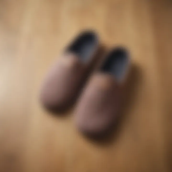 A stylish pair of breathable slippers on a wooden floor
