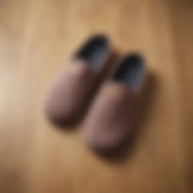 Stylish Breathable Slippers A stylish pair of breathable slippers on a wooden floor