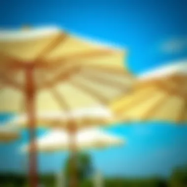 Eco-friendly bridal shower parasols made from sustainable materials