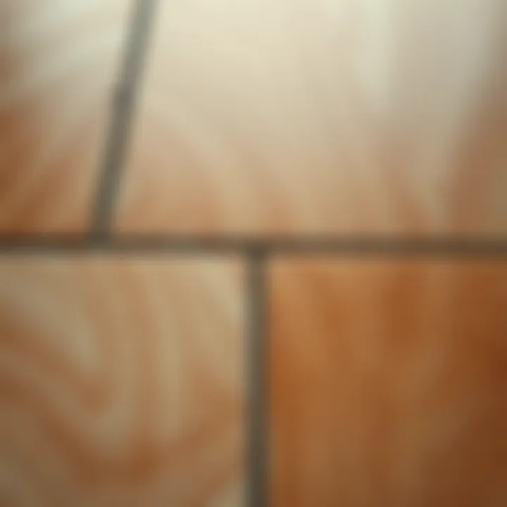 Close-up view of textured surface of brown self-adhesive floor tiles