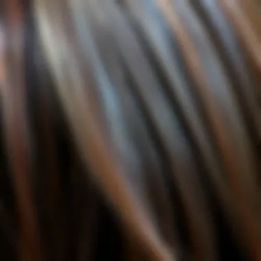 Selecting the Right Comb for Your Hair Type Close-up of hair types for choosing the right flat iron comb.