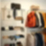 Elegant arrangement of clear shelf organizers showcasing fashion accessories