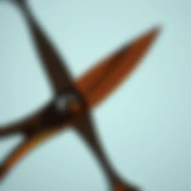 Close-up of sharp round grooming scissors