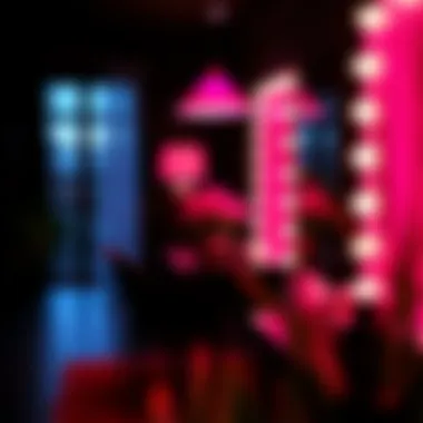 Dramatic lighting enhancing hot pink and black decor