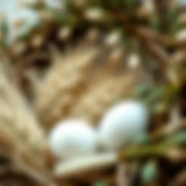 A close-up view of natural materials used in Easter wreath-making
