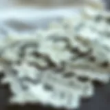 A close-up view of intricate embroidery lace trim showcasing detailed floral patterns.