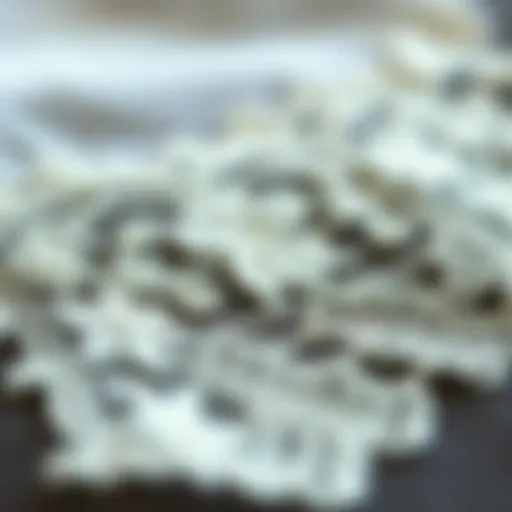 A close-up view of intricate embroidery lace trim showcasing detailed floral patterns.