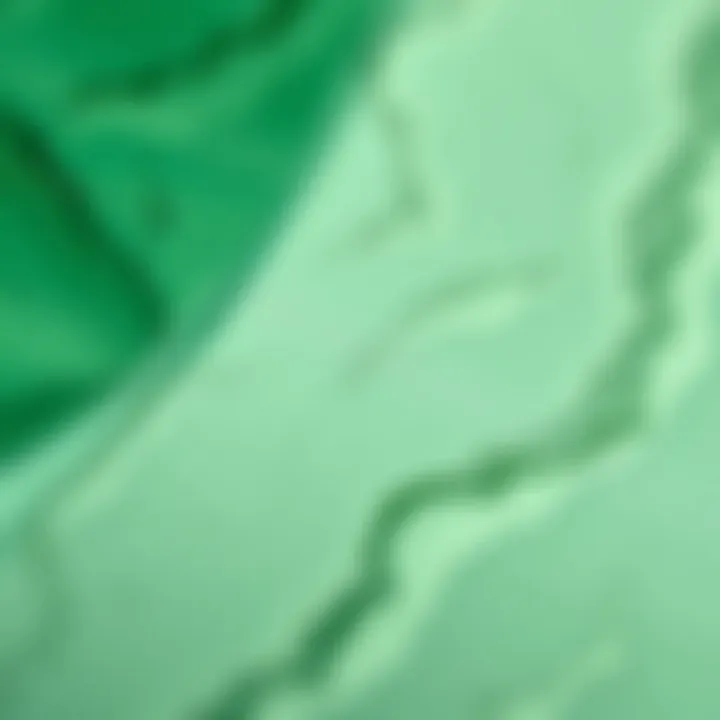 Intricate Textures of Emerald Green Contact Paper Close-up of emerald green contact paper showcasing texture and design