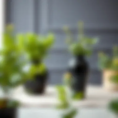 Sustainable design showcasing black plastic vases with greenery