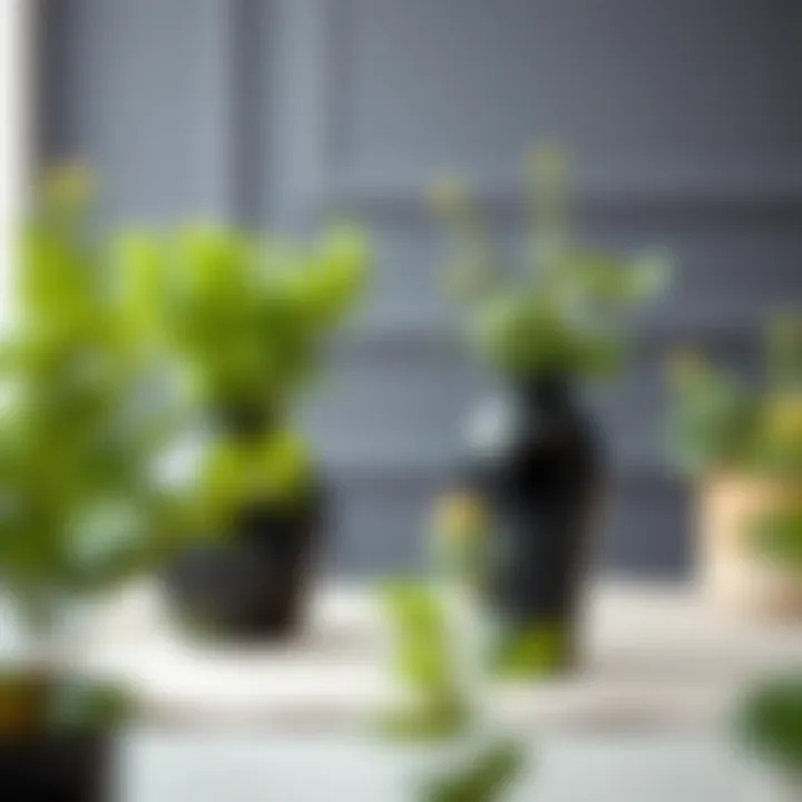 Sustainable design showcasing black plastic vases with greenery