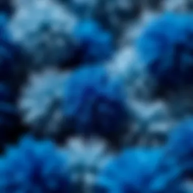 Close-up of blue and silver pom poms showcasing texture and detail