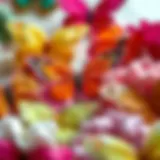 Vibrant butterfly scrunchies displayed in an artistic arrangement