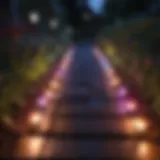 A vibrant display of color changing solar path lights illuminating a garden pathway at dusk.