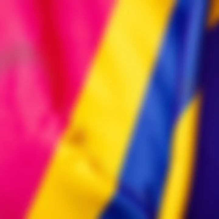 Detailed close-up of bisexual flag colors in fabric