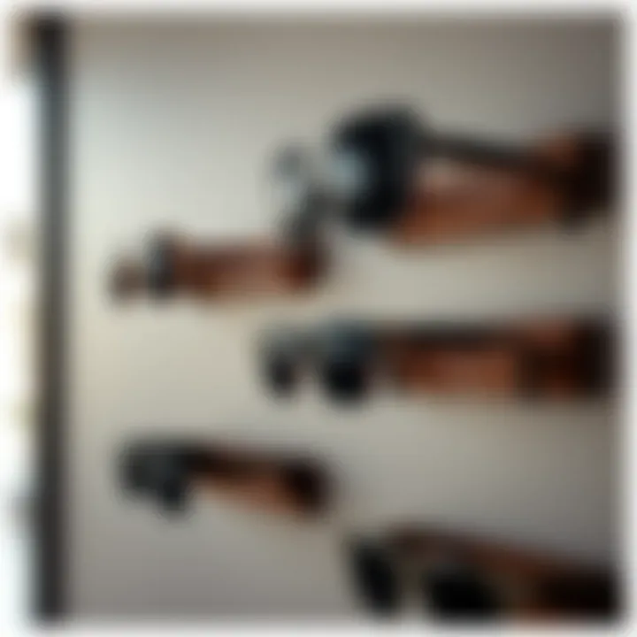 Sustainable materials used in modern sunglass holders