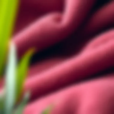 Sustainable sourcing of fleece fabric illustrated with eco-friendly elements