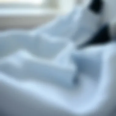 Long-lasting freshness in fabrics