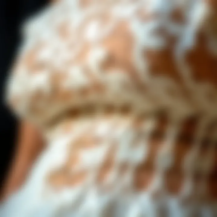 Close-up of intricate lace detailing on a dress