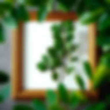 Detailed Eucalyptus Leaves in a Frame Close-up of detailed eucalyptus leaves featured in a decorative frame