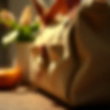 Detailed view of design features of the canvas bunny bag