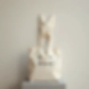 Stylish canvas bunny bag displayed against a minimalist backdrop