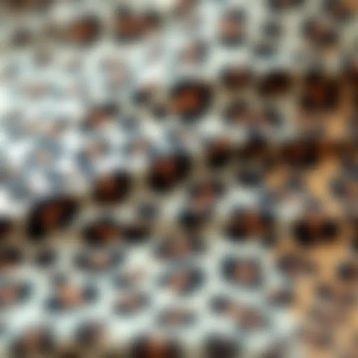 Close-up of unique fabric textures of the cheetah print tankini