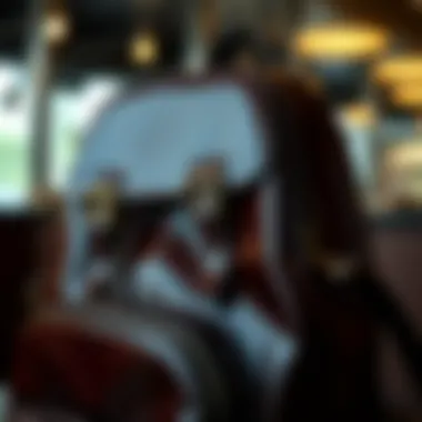 Eco-Friendly Care Solutions for Patent Leather Eco-friendly care products for maintaining patent leather accessories