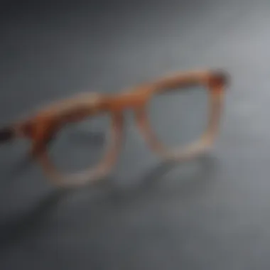 Sustainable materials used in eyewear holders