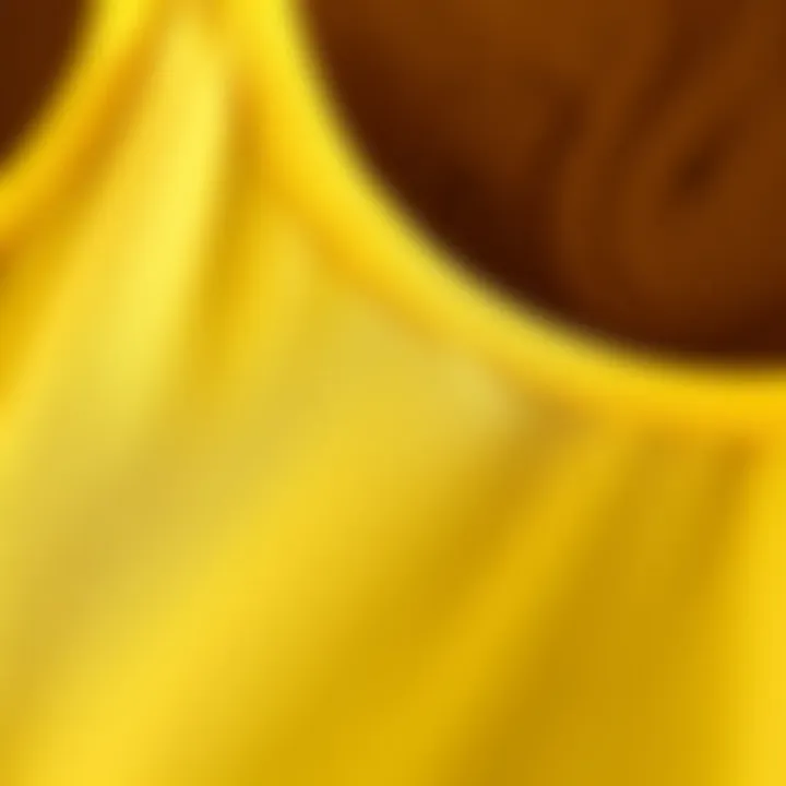 Close-up of fabric texture of the pale yellow cami