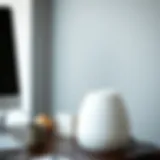 Stylish Design of USB-Powered Humidifiers Elegant USB-powered humidifier on a desk