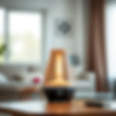 Improving Indoor Air Quality with USB Humidifiers USB humidifier enhancing indoor air quality