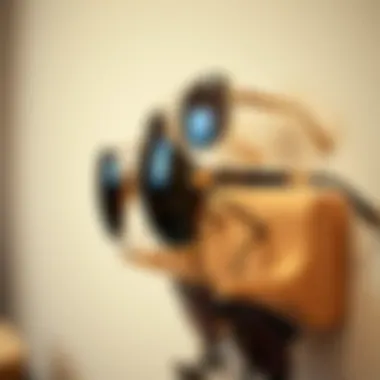 Detailed Craftsmanship of Sunglass Rack Close-up of a wall mounted sunglass rack with attention to detail