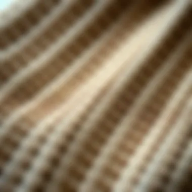 Close-up of woven elastic fabric showcasing its intricate patterns and textures.