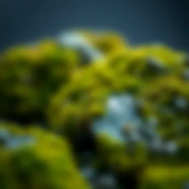 Sustainable materials used in the creation of faux moss stones
