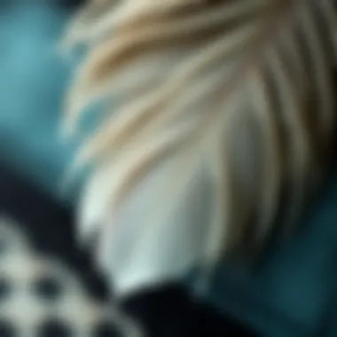 Intricate Feather Detail Close-up of feather texture showcasing craftsmanship