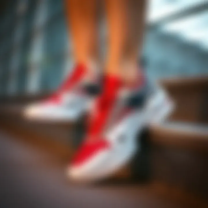 Modern Design of Li Ning Footwear A stylish pair of Li Ning shoes showcasing modern design