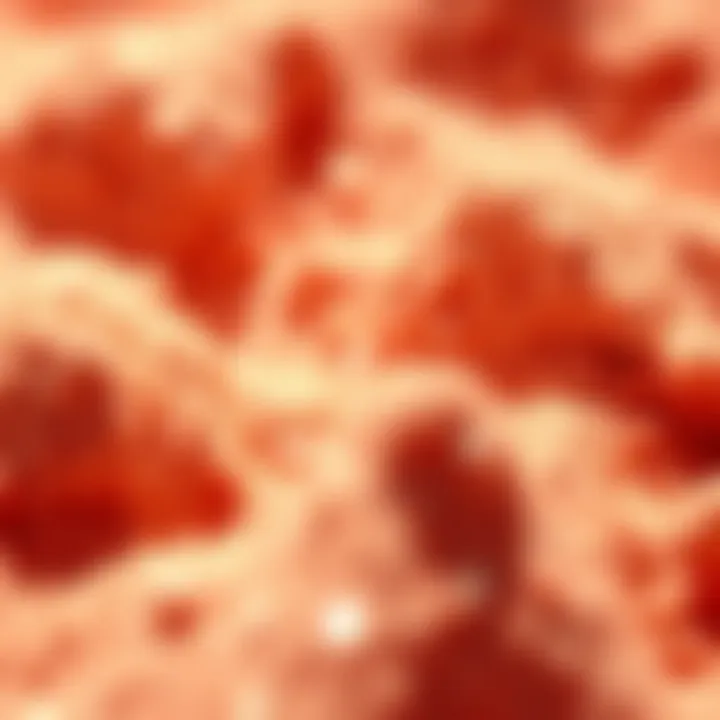 Close-up of luminous pigments highlighting their texture and sheen