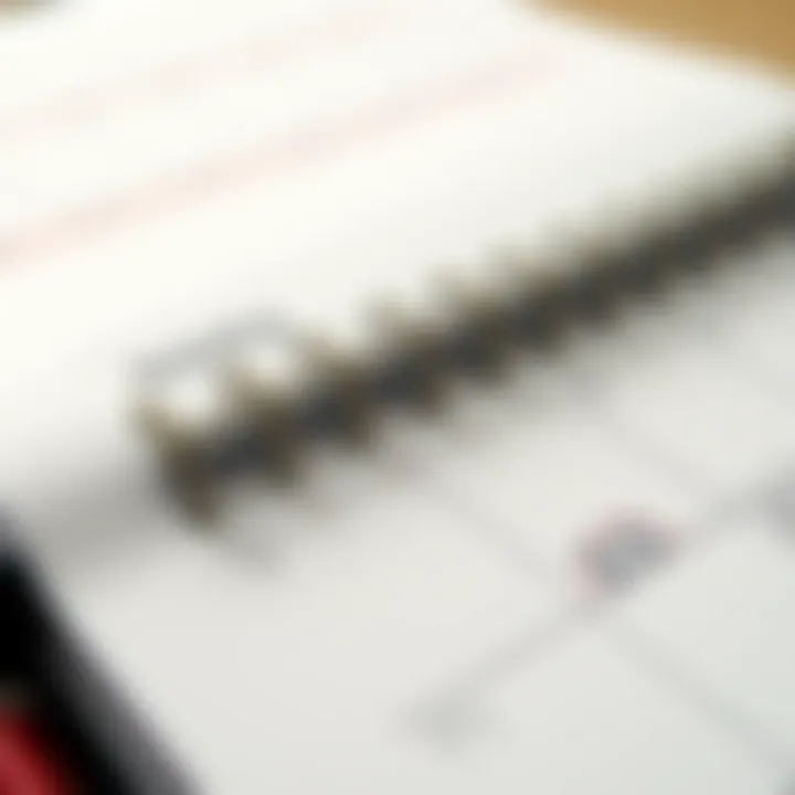 Customization Options for Magnetic Planners Close-up of customization options for magnetic planners