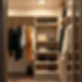 Elegantly designed closet tension shelf showcasing effective space utilization