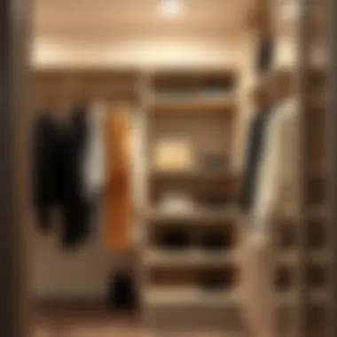 Elegantly designed closet tension shelf showcasing effective space utilization