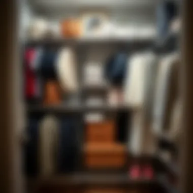 Stylish arrangement of closet tension shelves with various items organized