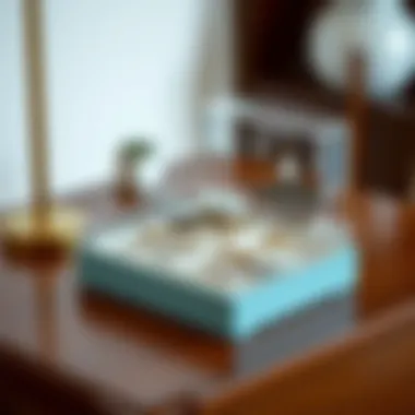 Stylish jewelry storage solution featuring a modern design