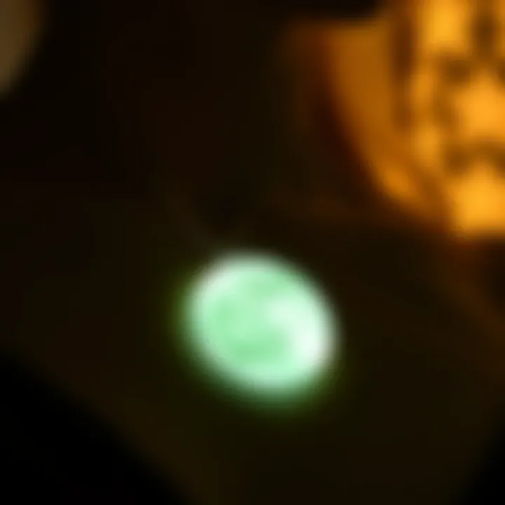 Detailed View of Luminescent Necklace Close-up of luminescent necklace design