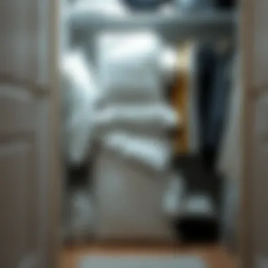 Organized closet with vacuum-sealed comforters