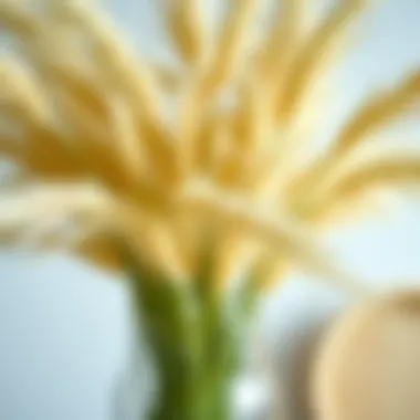 Intricate Details of Pampas Grass in Boho Style Close-up of pampas grass elegantly arranged in a boho vase