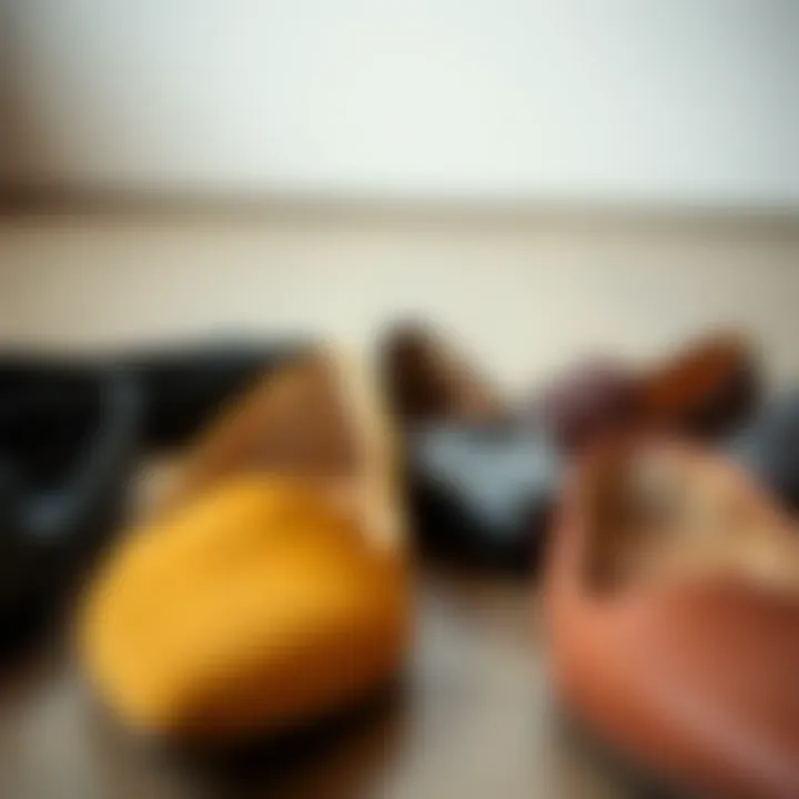 Diverse Styles of Pointed Toe Flats A variety of pointed toe wide width flats showcasing different styles